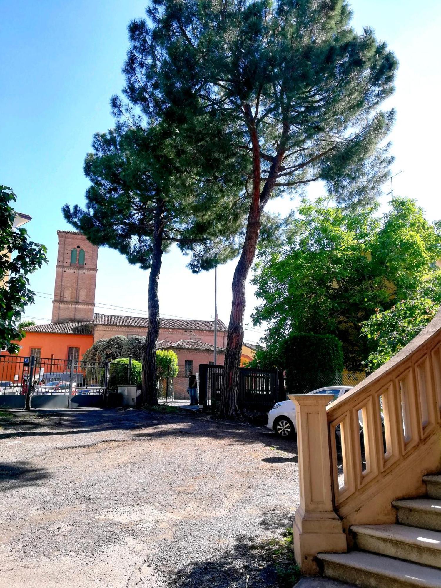 Tupertu Sant'Orsola - Centro Daire Bolonya Dış mekan fotoğraf